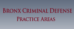 bronx criminal defense attorney